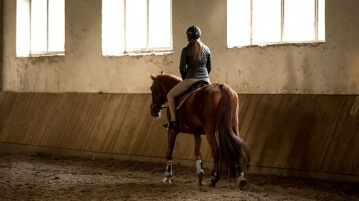 Reitstunden – Welche Möglichkeiten gibt es, Reiten zu lernen
